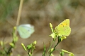 19 08 13_7010_edited-1